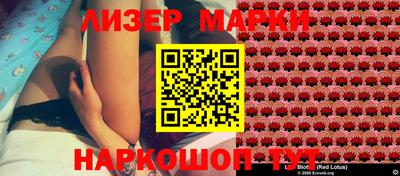 стафф Дубна