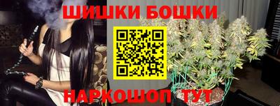 стафф Дубна