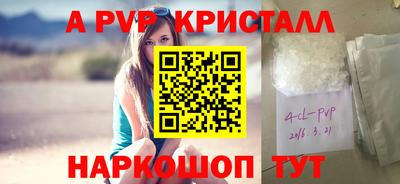 стафф Дубна