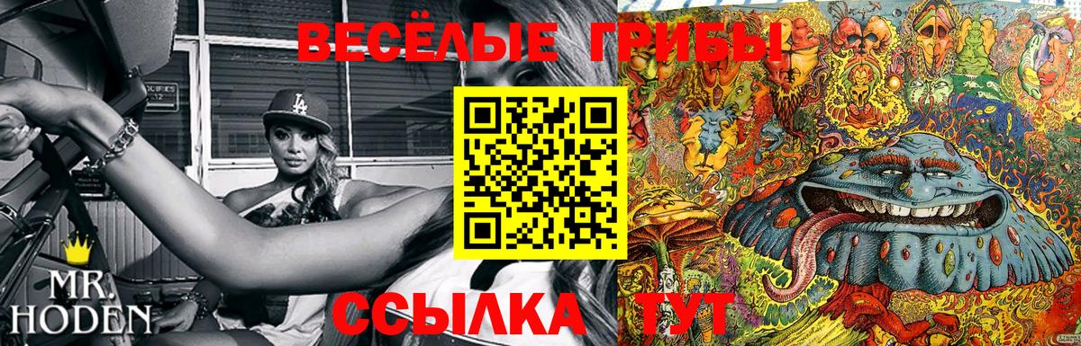 Южно-Сахалинск  Галлюциногенные грибы Psilocybine cubensis  Псилоцибиновые грибы Psilocybine cubensis  Вход с VPN 